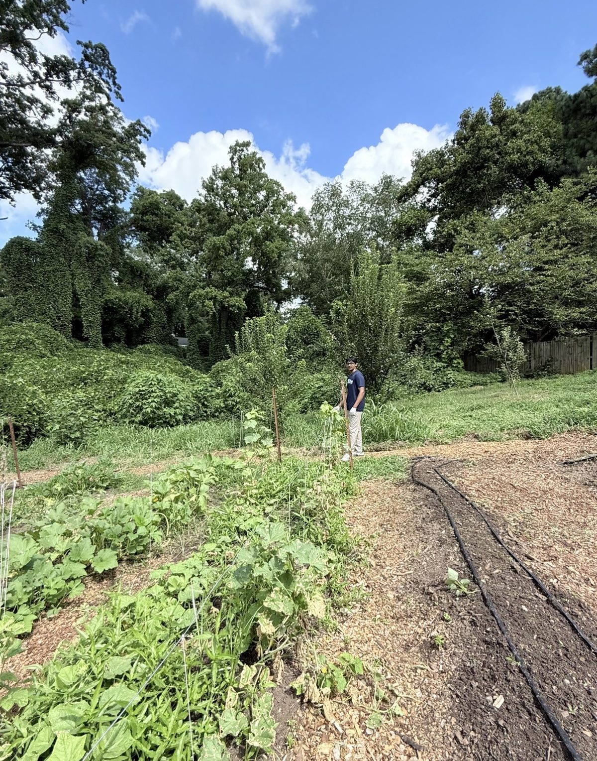 Vihari working in the field at a community sustainability project